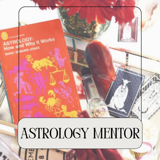 Astrology Mentorship