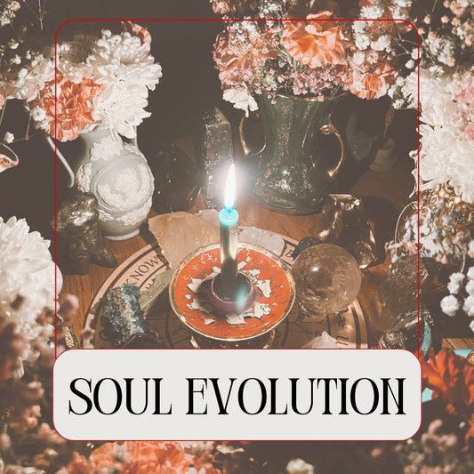 Soul Evolution: Astrology Reading